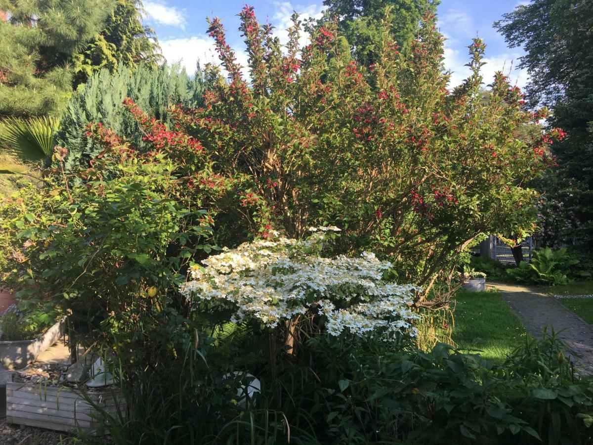 Apartment Tinyhouse Mit Pool, Outdoor Whirlpool Und Garten Petershagen-Eggersdorf Esterno foto